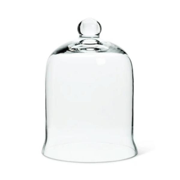 GLASS CLOCHE