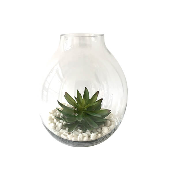 SOLD - GLASS BULB TERRARIUM