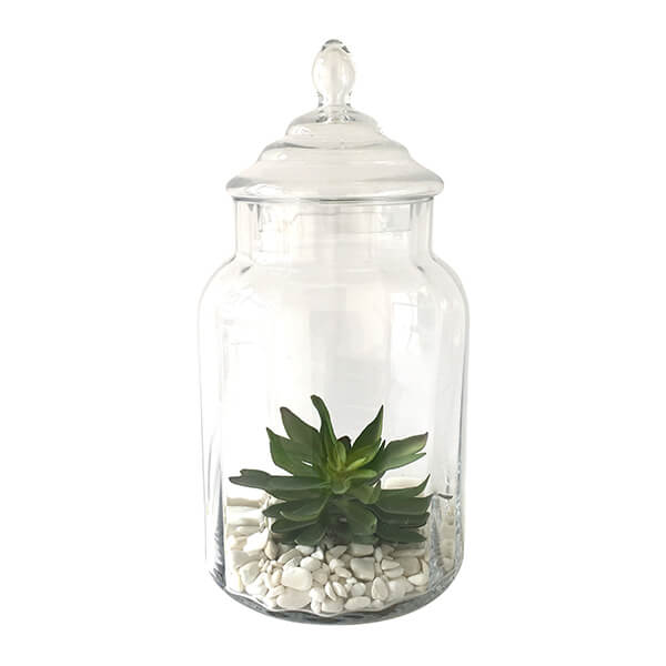 GLASS TERRARIUM W/ LID